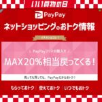 11月PayPayいい買い物の日